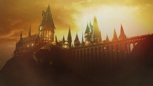 undefined Images